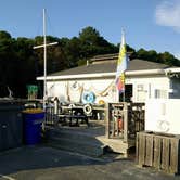 Review photo of Kiptopeke State Park Campground by Ellen C., May 29, 2019