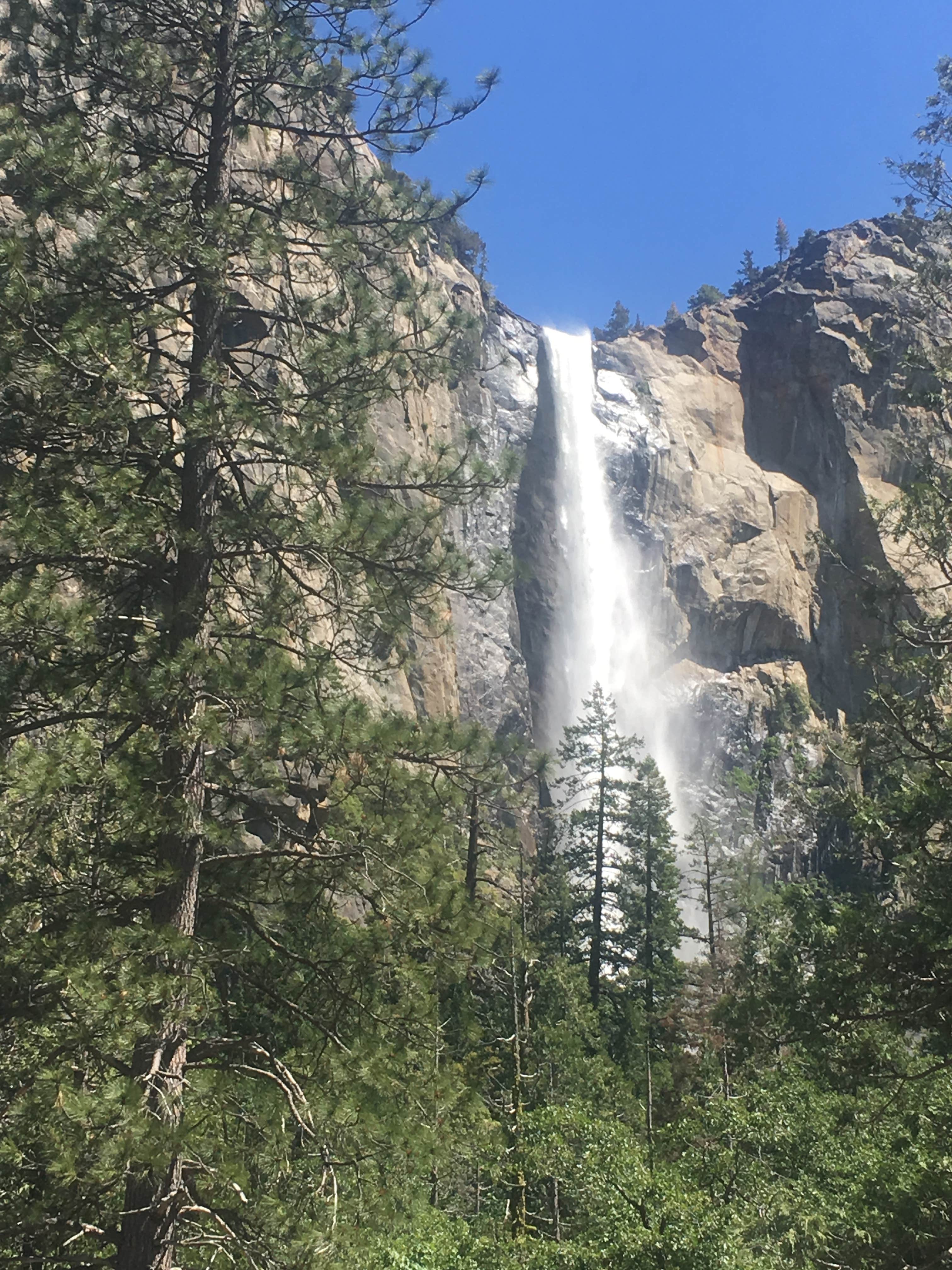 Camper submitted image from Bridalveil Creek Campground — Yosemite National Park - 4