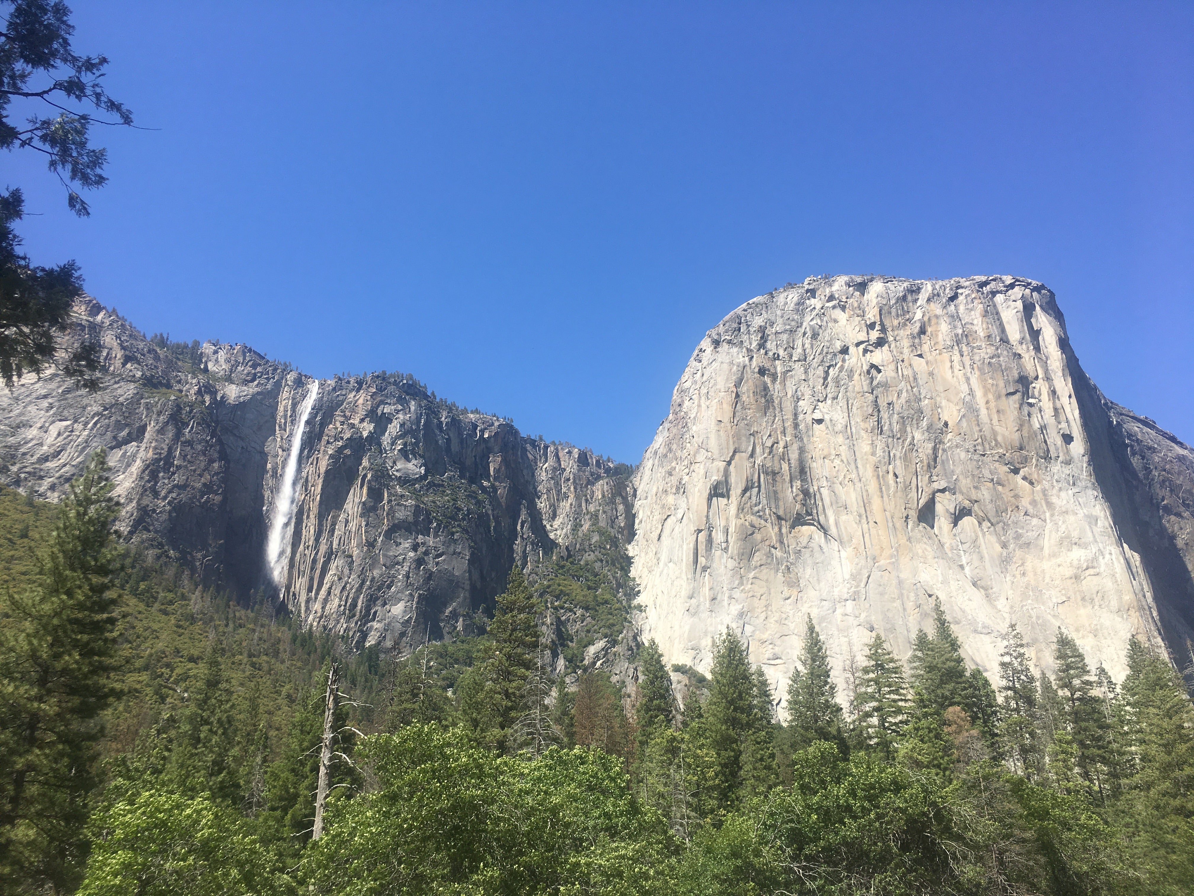 Yosemite’s glory