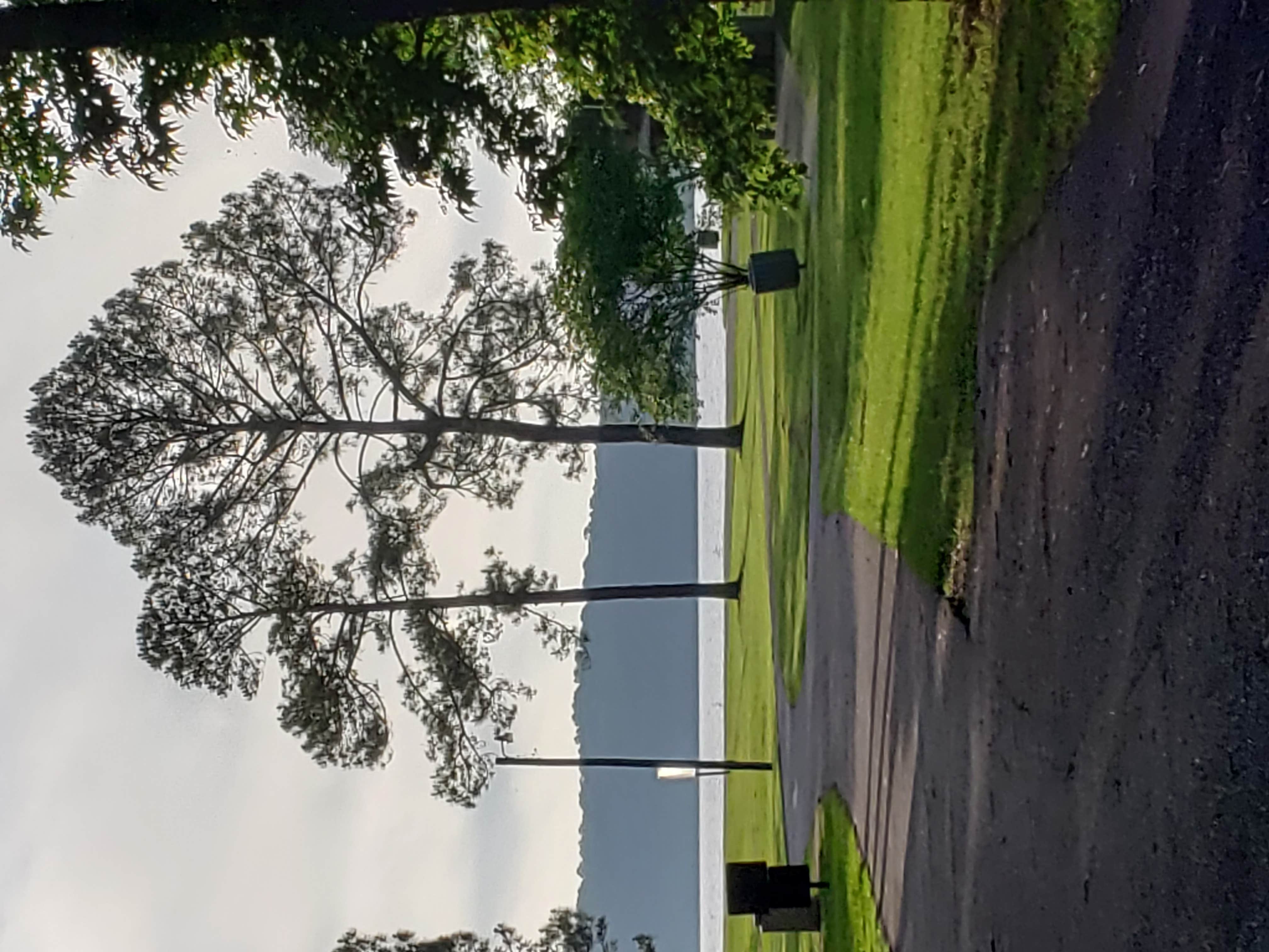 Camper-submitted photo at Gin Creek near Enterprise, MS