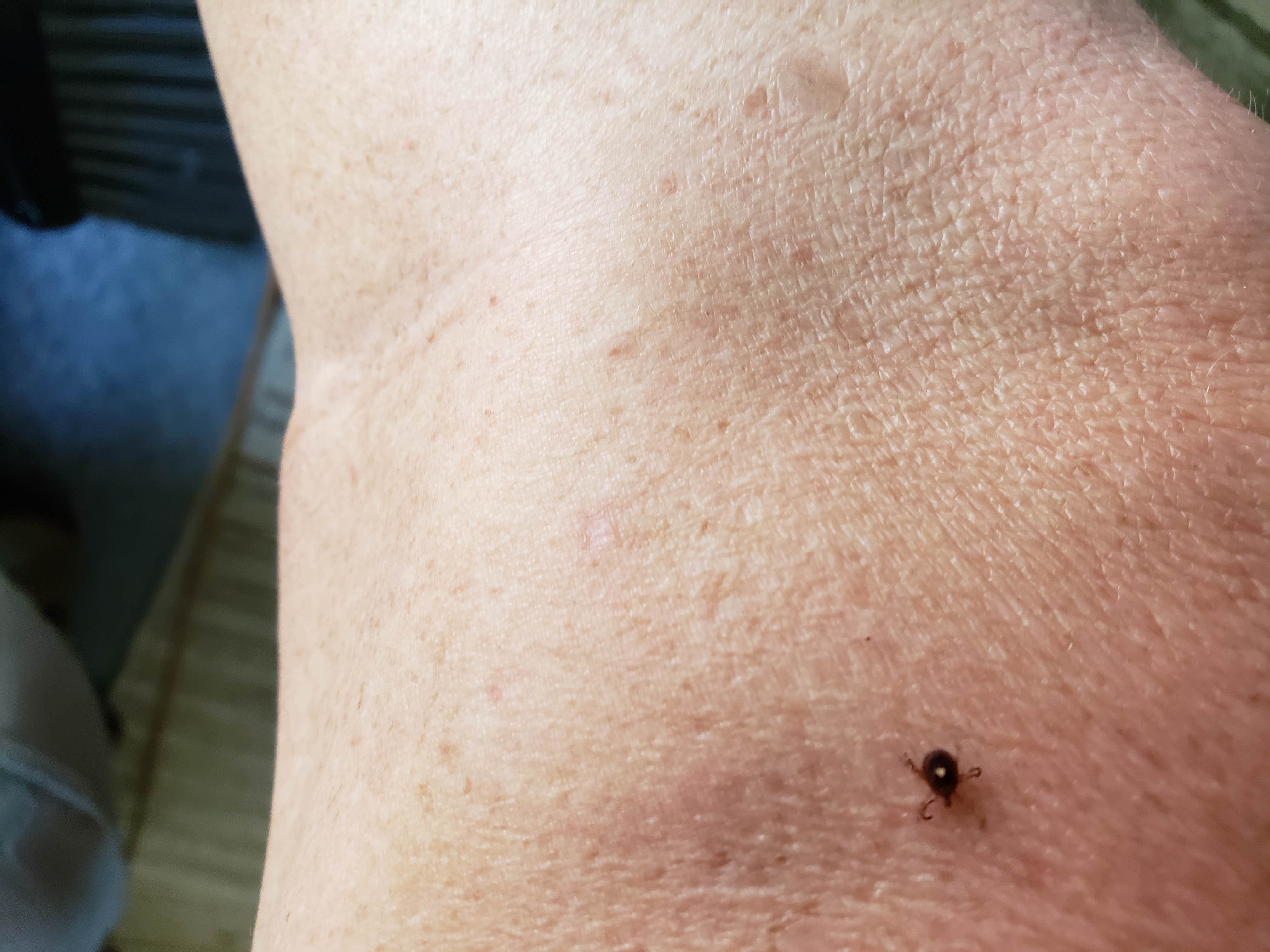 Camper-submitted photo at Gin Creek near Enterprise, MS