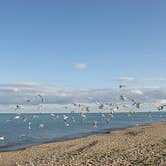 Review photo of Adeline Jay-Geo Karis Illinois Beach State Park by Mike T., August 31, 2016