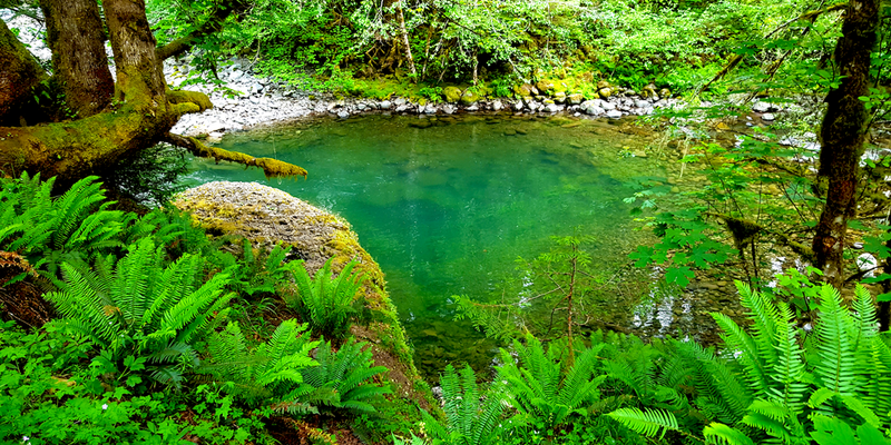 Camper submitted image from Fish Creek (OR)