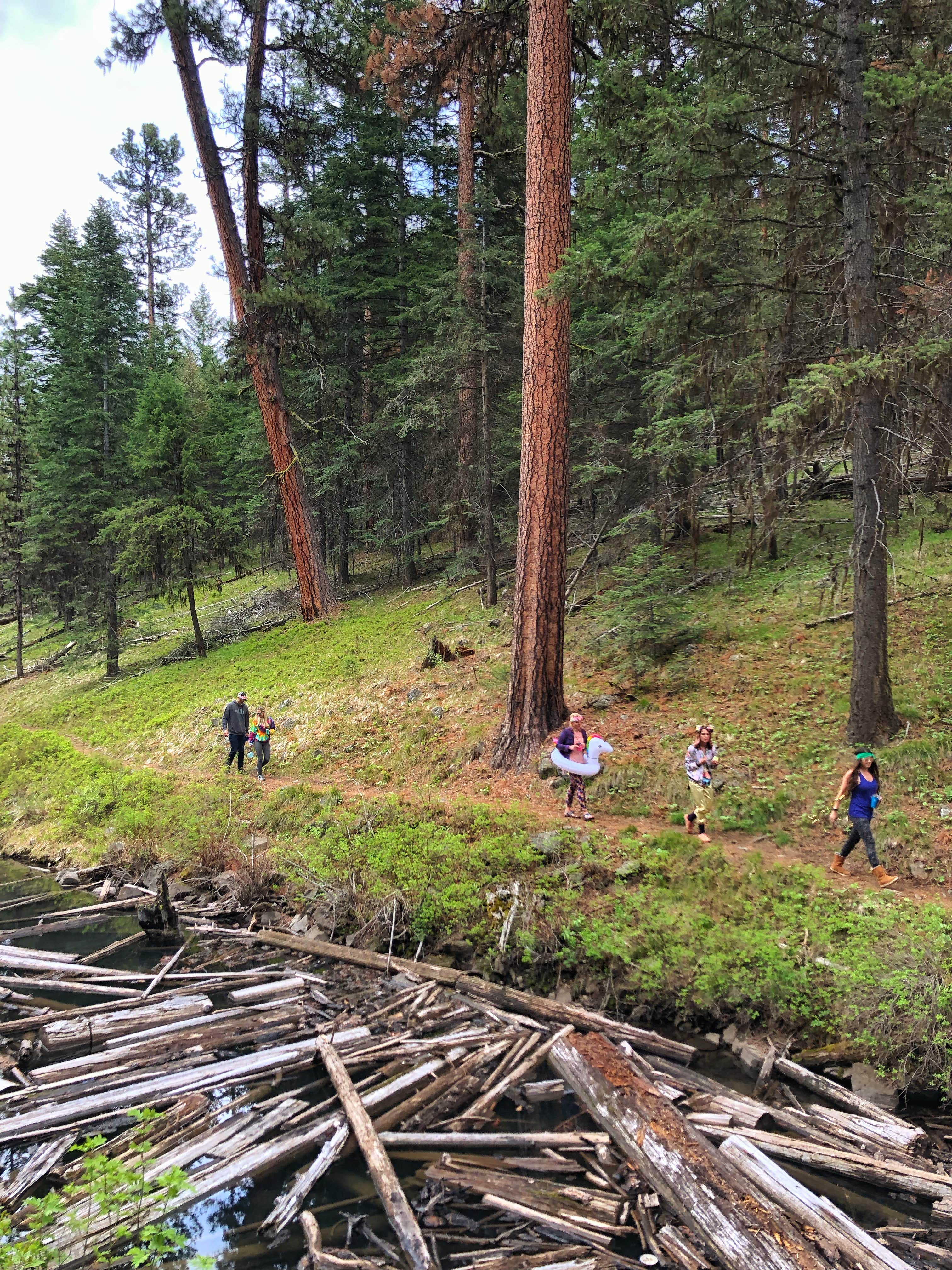 Camper submitted image from Magone Lake Campground - 2