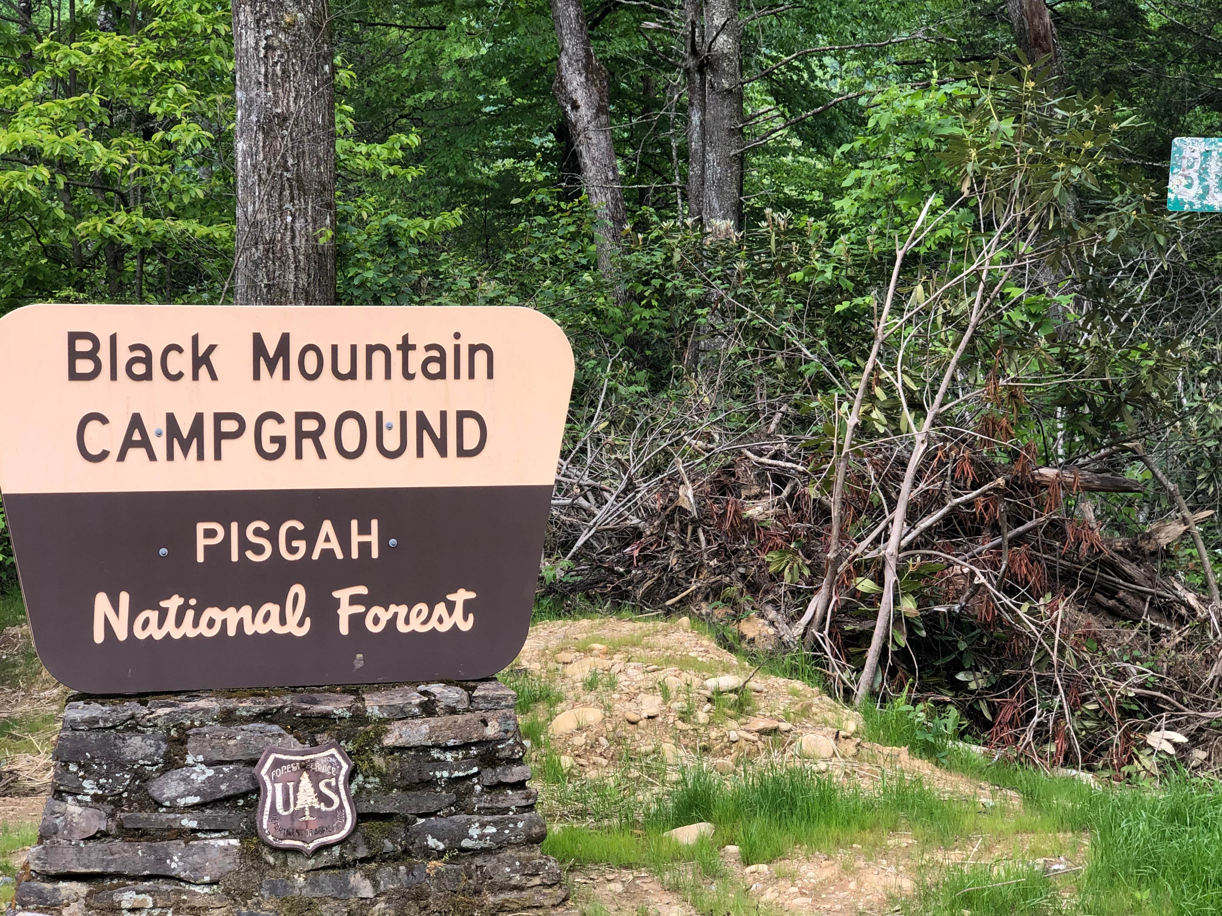 Camper submitted image from Black Mountain Campground - CLOSED INDEFINITELY - 4