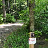 Review photo of Black Mountain Campground - CLOSED INDEFINITELY by Melissa  W., May 29, 2019