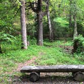 Review photo of Black Mountain Campground - CLOSED INDEFINITELY by Melissa  W., May 29, 2019