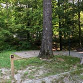 Review photo of Black Mountain Campground - CLOSED INDEFINITELY by Melissa  W., May 29, 2019