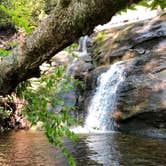 Review photo of Black Mountain Campground - CLOSED INDEFINITELY by Melissa  W., May 29, 2019