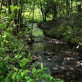 Review photo of Black Mountain Campground - CLOSED INDEFINITELY by Melissa  W., May 29, 2019