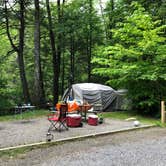 Review photo of Black Mountain Campground - CLOSED INDEFINITELY by Melissa  W., May 29, 2019