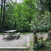 Review photo of Black Mountain Campground - CLOSED INDEFINITELY by Melissa  W., May 29, 2019