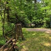 Review photo of Black Mountain Campground - CLOSED INDEFINITELY by Melissa  W., May 29, 2019