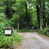 Review photo of Black Mountain Campground - CLOSED INDEFINITELY by Melissa  W., May 29, 2019