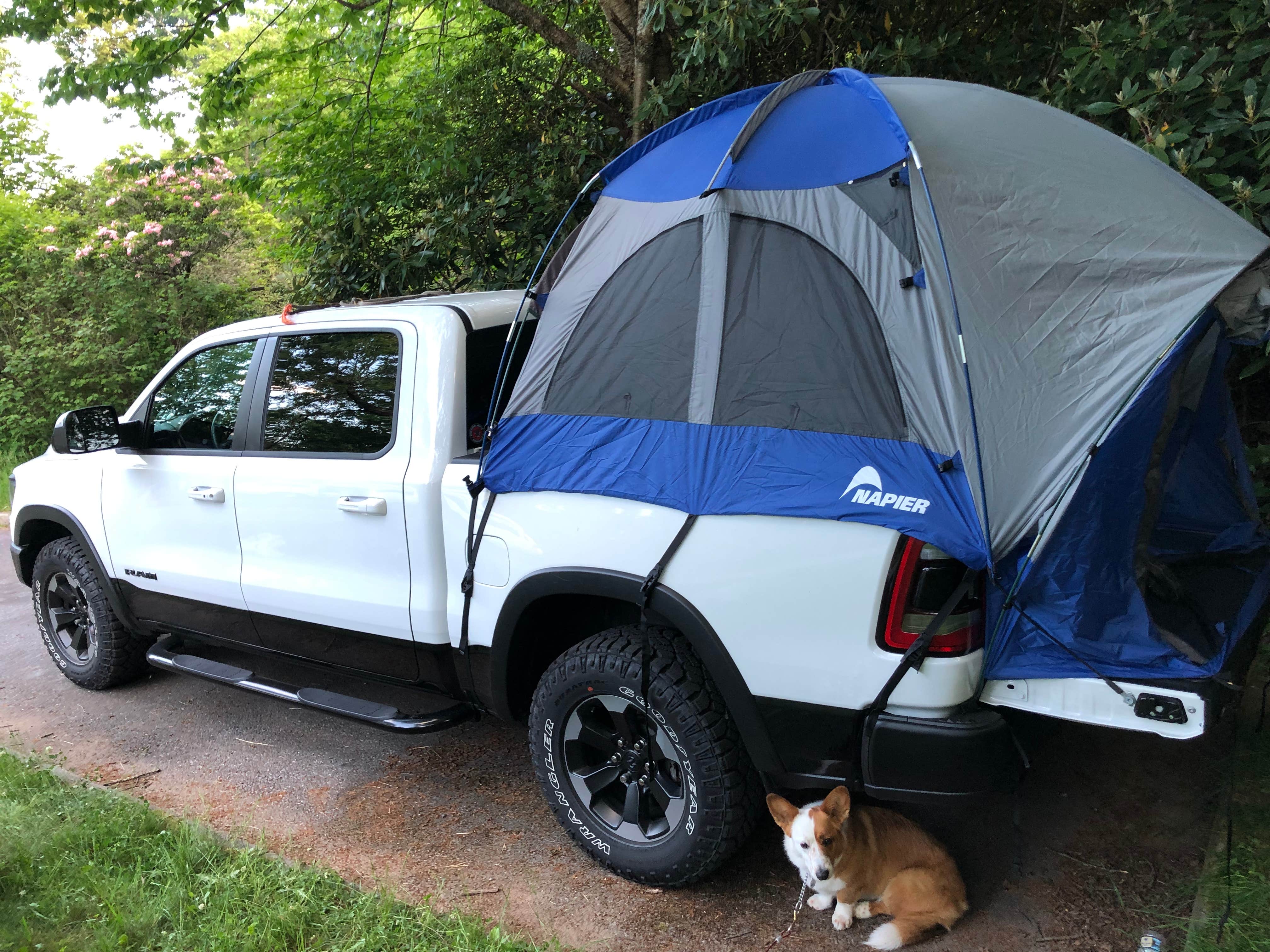 Bradley O.'s photo at Mount Pisgah Campground near Candler, NC