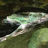 Review photo of Koomer Ridge Campground — Daniel Boone National Forest by Kenny P., May 29, 2019