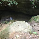 Review photo of Koomer Ridge Campground — Daniel Boone National Forest by Kenny P., May 29, 2019