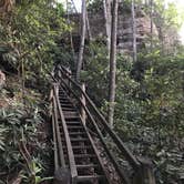 Review photo of Koomer Ridge Campground — Daniel Boone National Forest by Kenny P., May 29, 2019