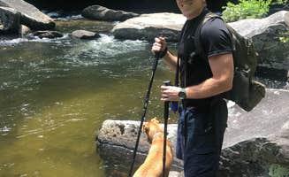 Cody K.'s photo of camping with pets at Ray Fisher Campground— CLOSED near Cashiers, NC