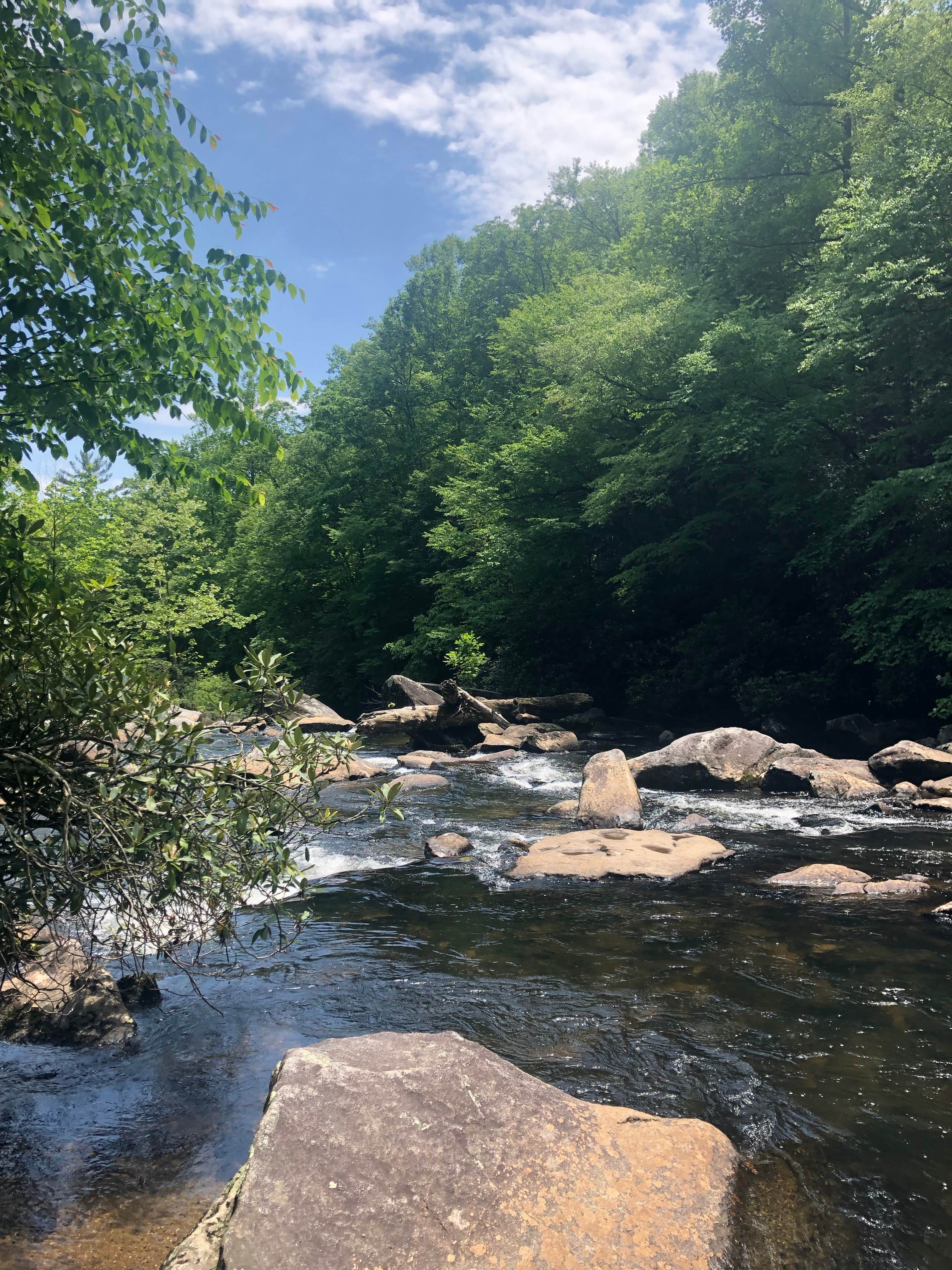 Ray Fisher Campground— CLOSED