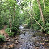 Review photo of Crabtree Falls Campground — Blue Ridge Parkway by Melissa  W., May 29, 2019