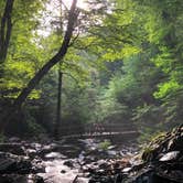 Review photo of Crabtree Falls Campground — Blue Ridge Parkway by Melissa  W., May 29, 2019