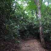 Review photo of Crabtree Falls Campground — Blue Ridge Parkway by Melissa  W., May 29, 2019