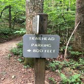 Review photo of Crabtree Falls Campground — Blue Ridge Parkway by Melissa  W., May 29, 2019