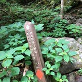 Review photo of Crabtree Falls Campground — Blue Ridge Parkway by Melissa  W., May 29, 2019