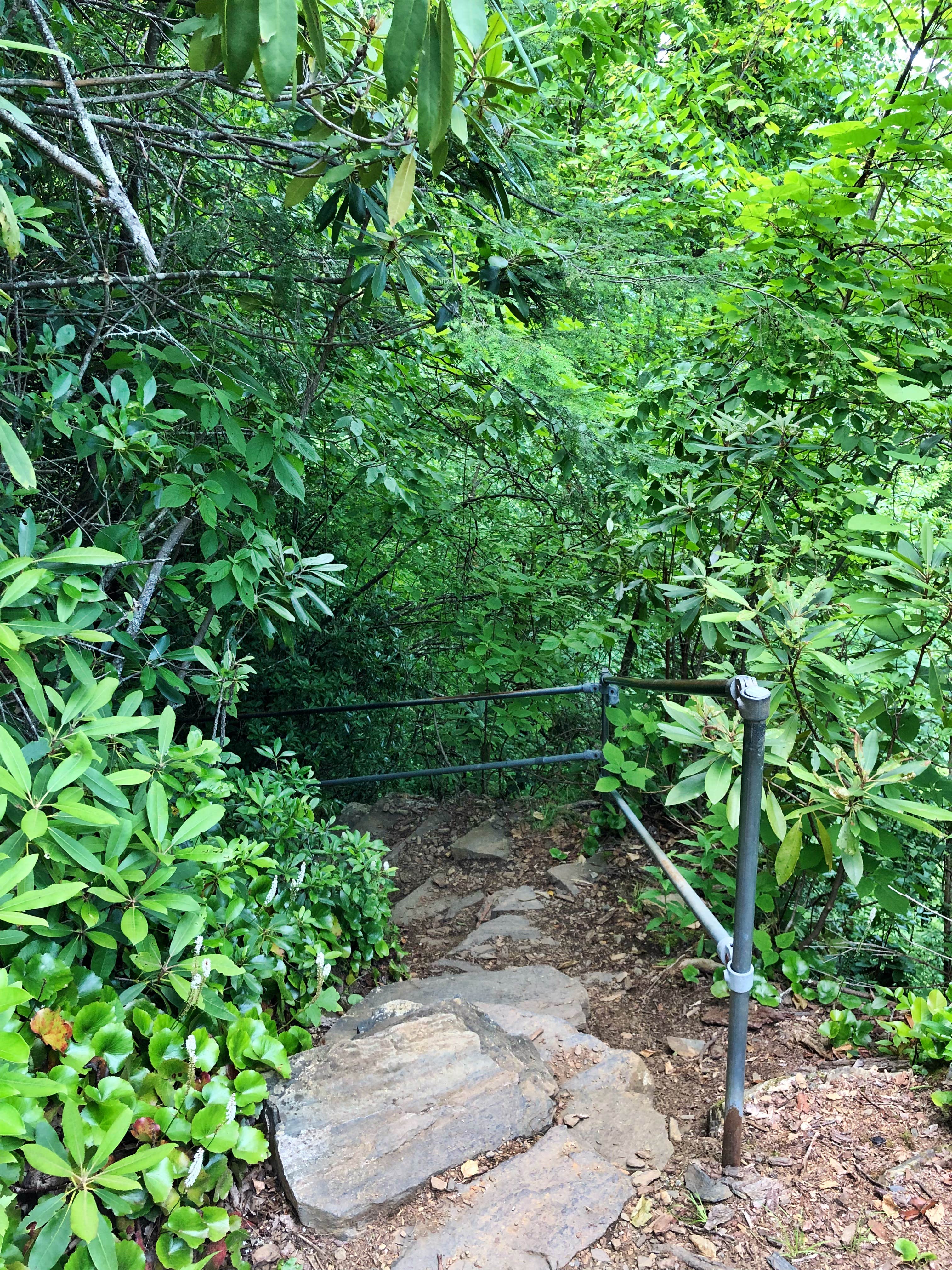 Camper-submitted photo at Crabtree Falls Campground — Blue Ridge Parkway near Burnsville, NC
