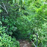 Review photo of Crabtree Falls Campground — Blue Ridge Parkway by Melissa  W., May 29, 2019