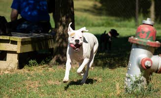 Evelyn T.'s photo of camping with pets at Cherry Hill Park near Clinton, MD