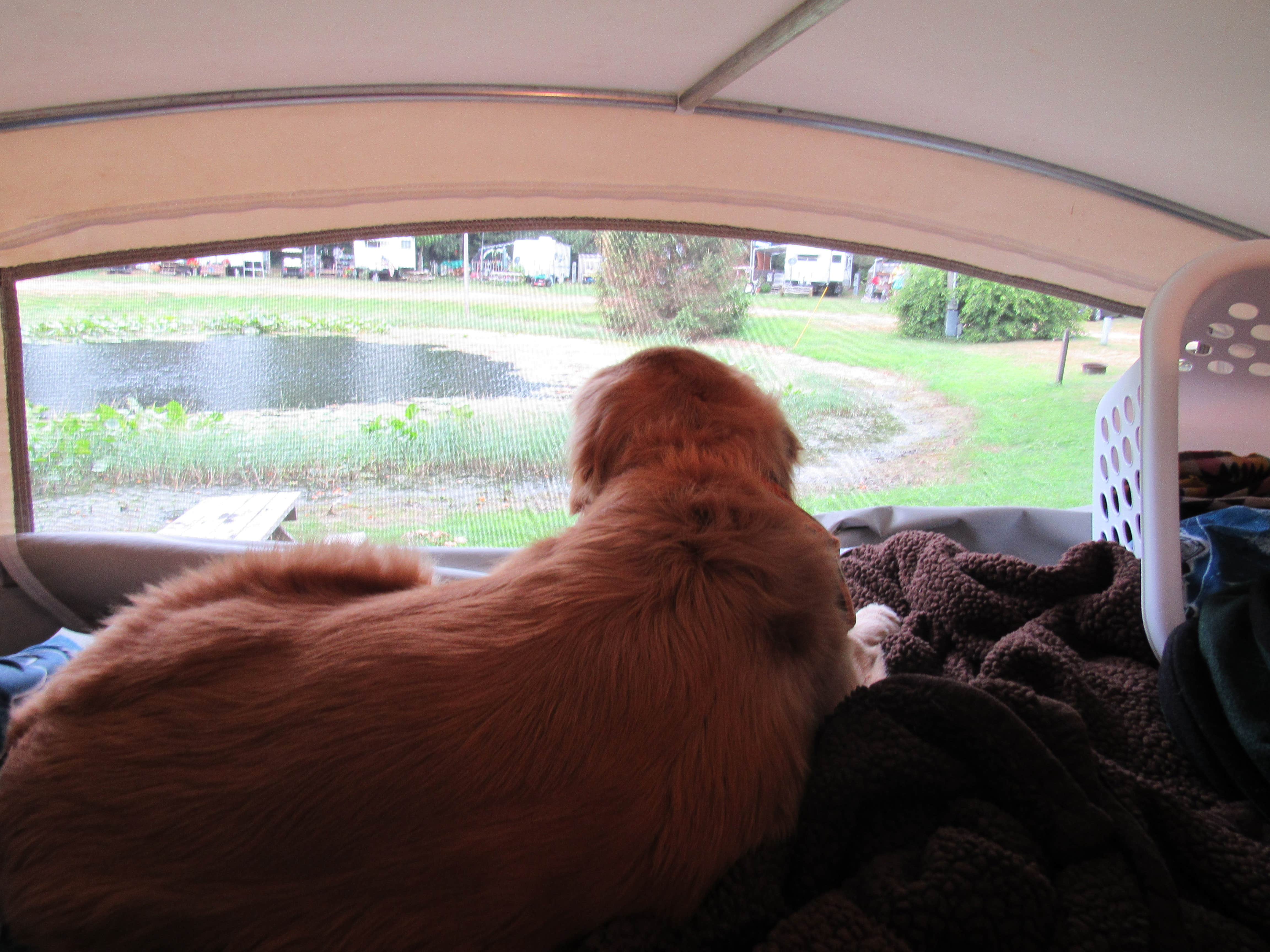 Camping near Oak Shores Campground: Cranberry Lake Campground, Marcellus, Michigan