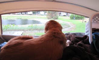 Jennifer G.'s photo of camping with pets at Cranberry Lake Campground near Portage, MI