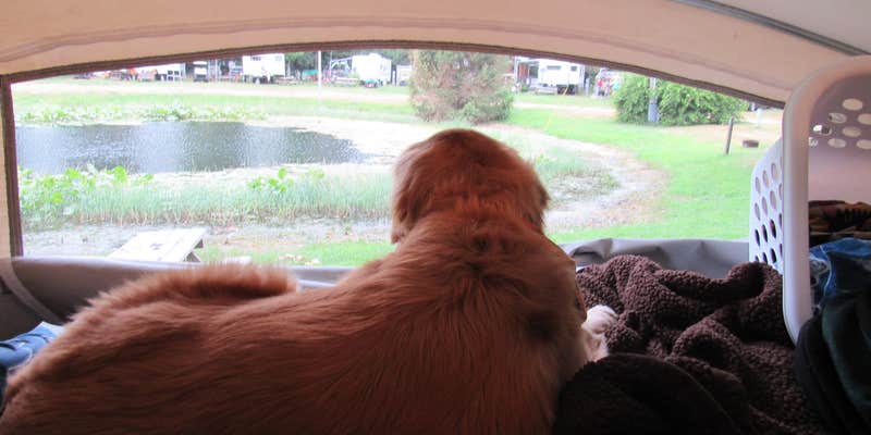 Camper submitted image from Cranberry Lake Campground