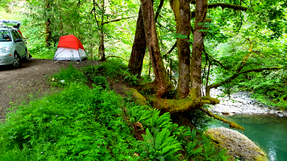 Camper submitted image from Fish Creek (OR) - 4