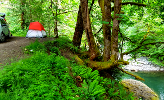 Tim N.'s photo at Fish Creek (OR) near Colton, OR