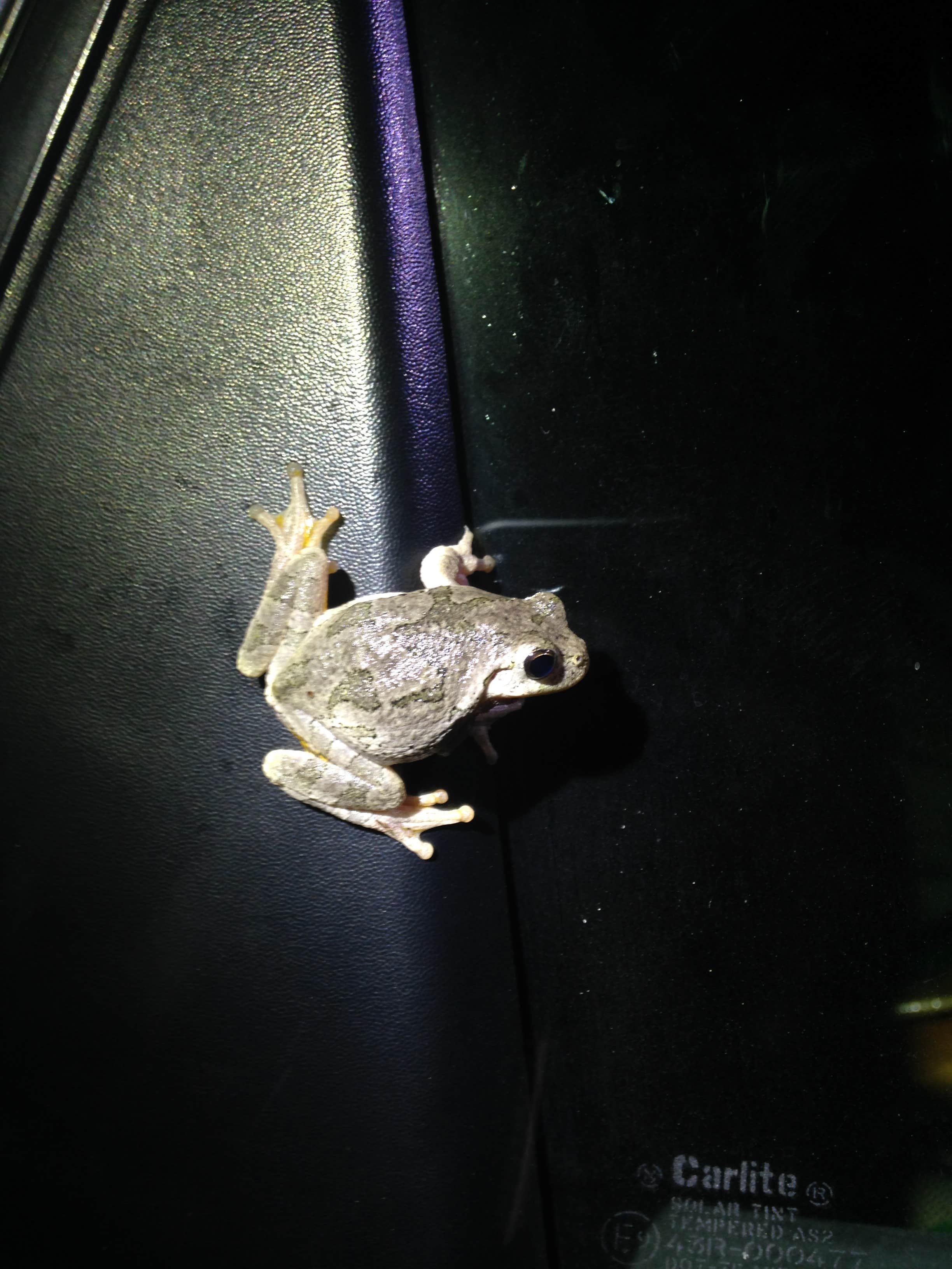 Camper-submitted photo at Namekagon Trail Bridge near Gordon, WI