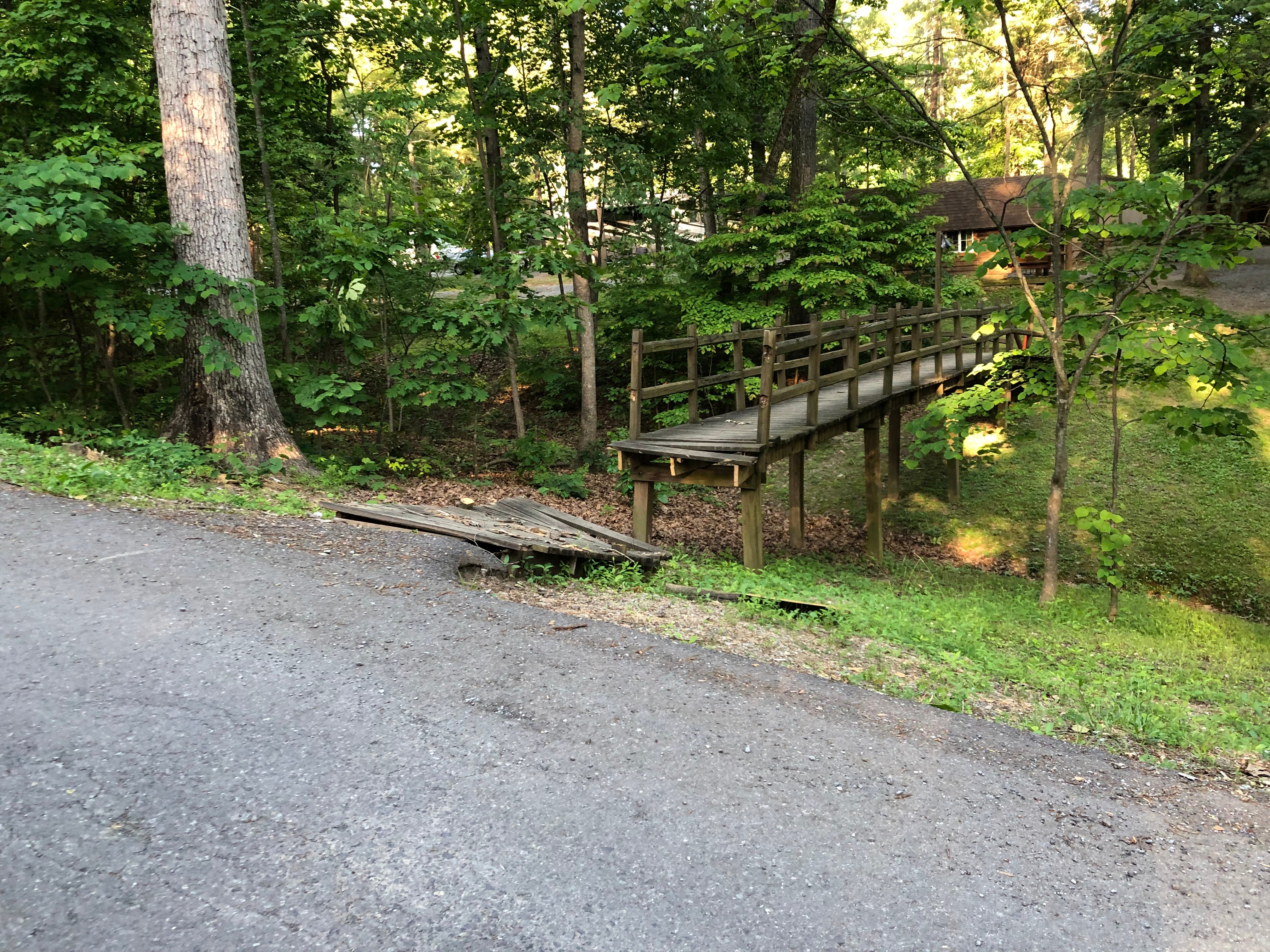 Camper submitted image from Natural Bridge-Lexington KOA - 4