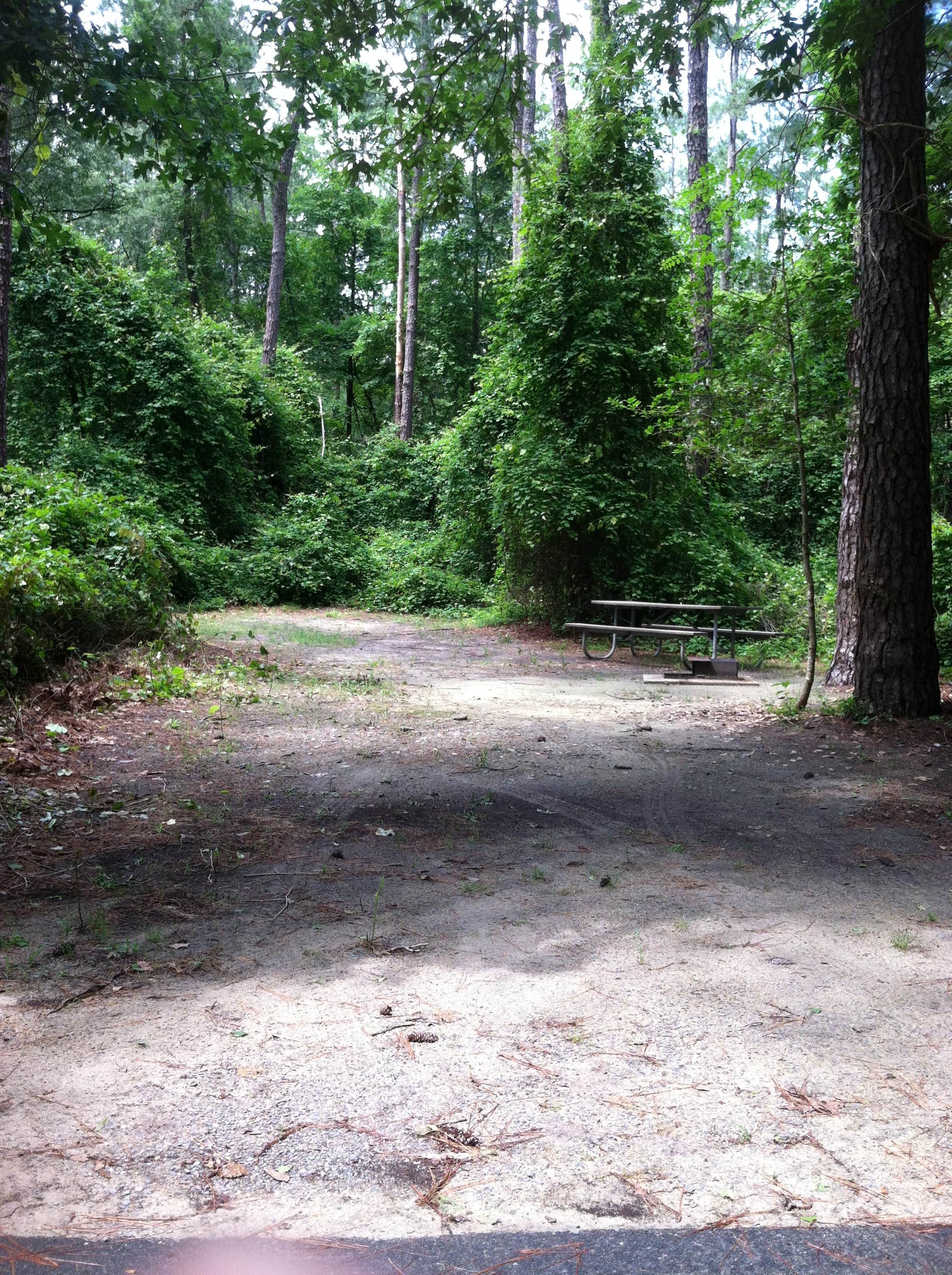 Camper submitted image from Cliffs of the Neuse State Park Campground - 4