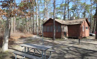 Ellen C.'s photo of a cabin at Bass River State Forest near Lacey, NJ