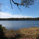 Review photo of Bass River State Forest by Ellen C., May 29, 2019