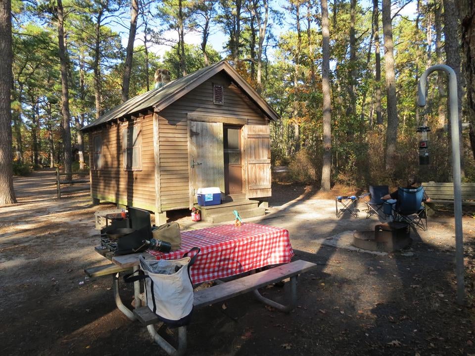 Camper submitted image from Bass River State Forest - 5