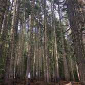 Review photo of Elk Lake (Or) — Willamette National Forest by Chris P., May 29, 2019