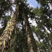 Review photo of Elk Lake (Or) — Willamette National Forest by Chris P., May 29, 2019