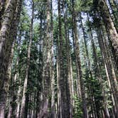 Review photo of Elk Lake (Or) — Willamette National Forest by Chris P., May 29, 2019