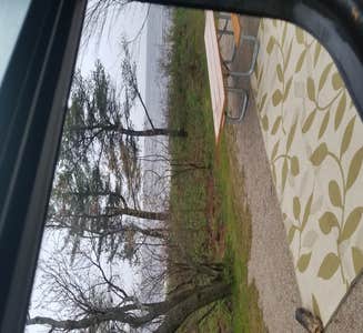 Camper-submitted photo from Manistique Lakeshore Campground