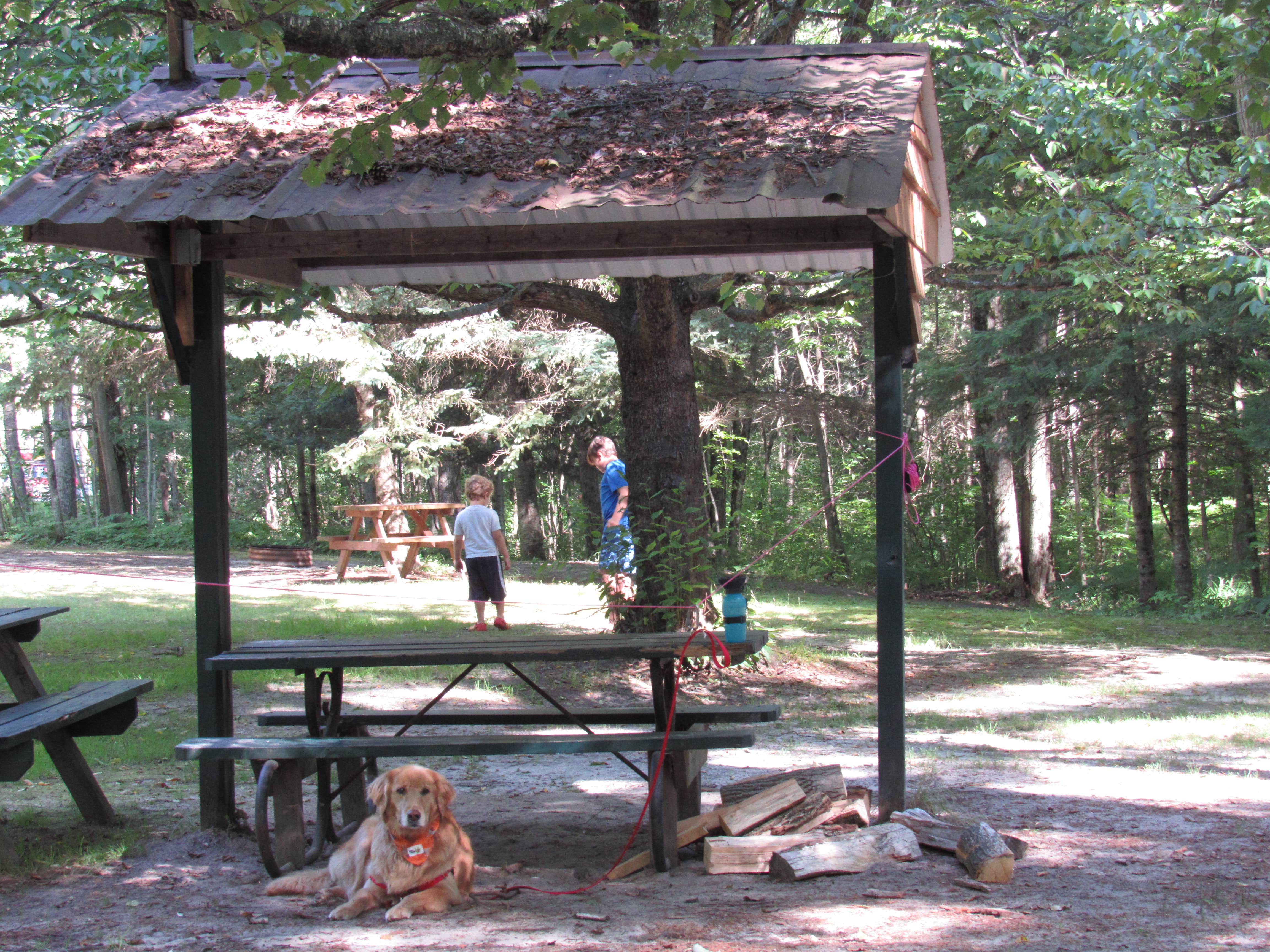 Jennifer G.'s photo of camping with pets at White Birch Canoe Trips & Campground near Clare, MI