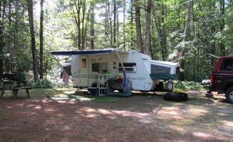 Jennifer G.'s photo at White Birch Canoe Trips & Campground near Lake City, MI