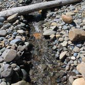 Review photo of Second Beach — Olympic National Park by Megan C., August 31, 2016